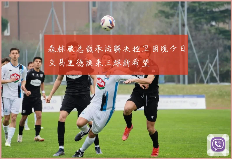 森林狼总裁承诺解决控卫困境今日交易里德换来三球新希望