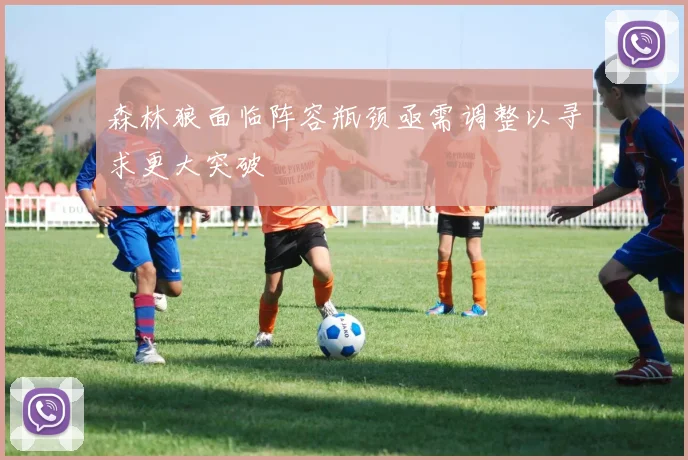 森林狼面临阵容瓶颈亟需调整以寻求更大突破